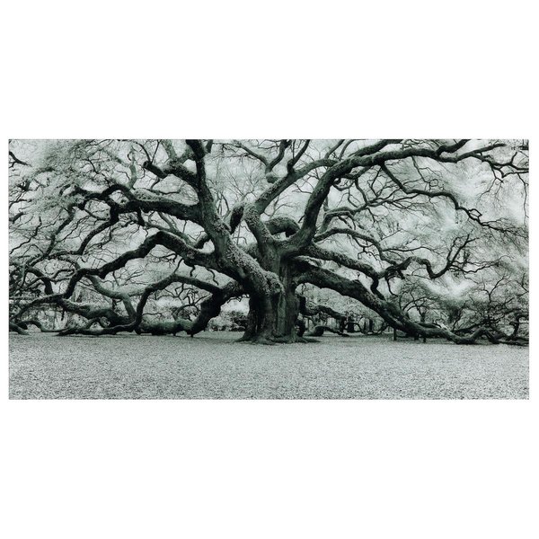 Empire Art Direct Empire Art Direct TMP-EAD5302-3672 36 x 72 in. Big Tree Frameless Tempered Glass Panel Contemporary Wall Art TMP-EAD5302-3672